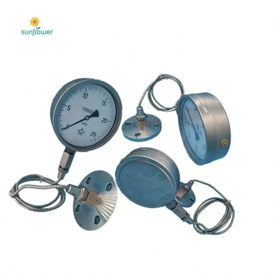 Industrial Capillary Remote Temperature Gauge with All Stainless Steel Back Mounting: Precise Temperature Monitoring Solution