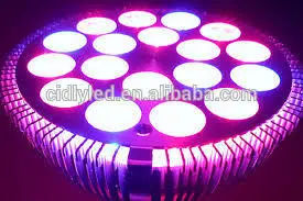Factory Cidly led par38 36w grow light for grow tent complete kit growshop lamp