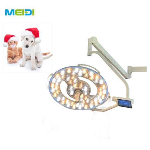 Single and Double Head LED Operation Lamp for Animal Medical Use