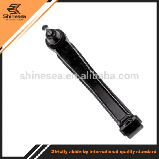 For Hyundai Sonata XG300 Auto Spare Rear Lower L&R Suspension Brazo de Control Arm 5521038000