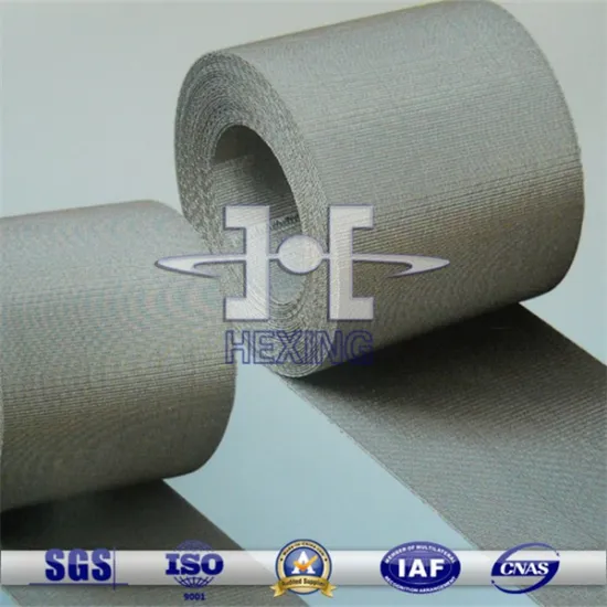 10cm Width 304/316 Stainless Steel Wire Mesh from Anping Factory