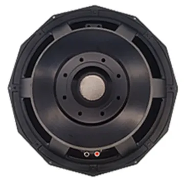 18-inch high-power woofer suitable for outdoor entertainment