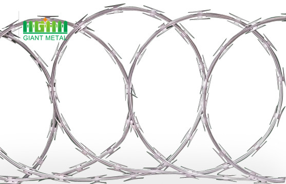 Razor barbed wire fencing