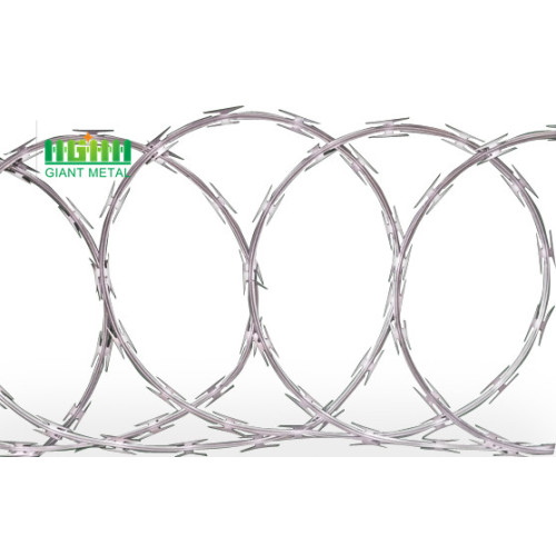 hot sale anti-theft shaving razor barbed wire