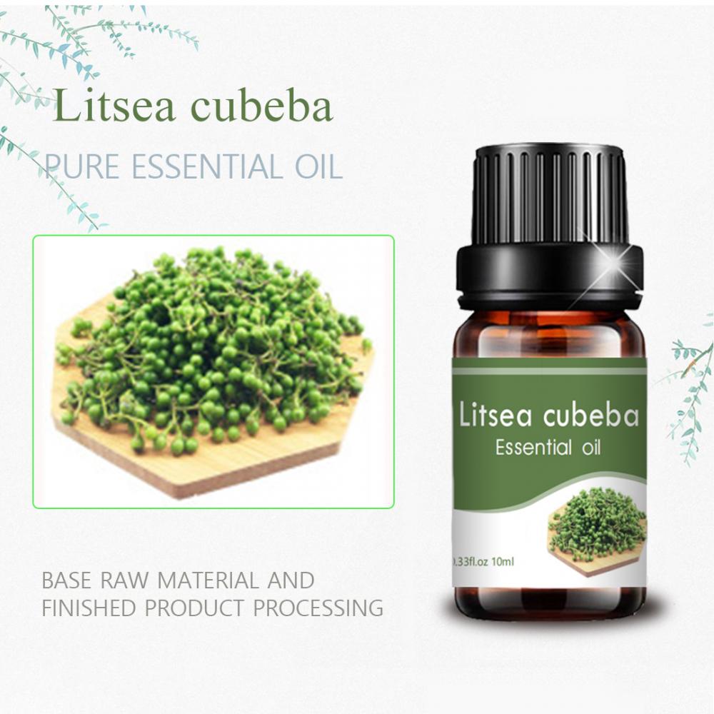 Label privada mayorista de grado terapéutico Litsea Cubeba Oil