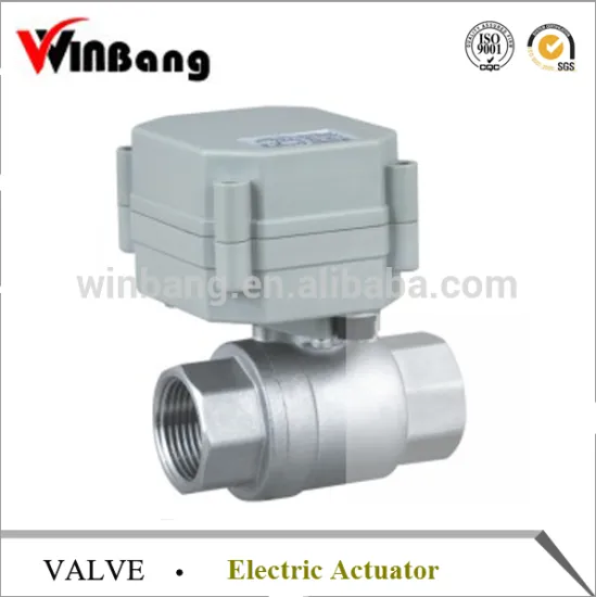 Most Popular Online Supplier Of High Quality Check Ball Valve