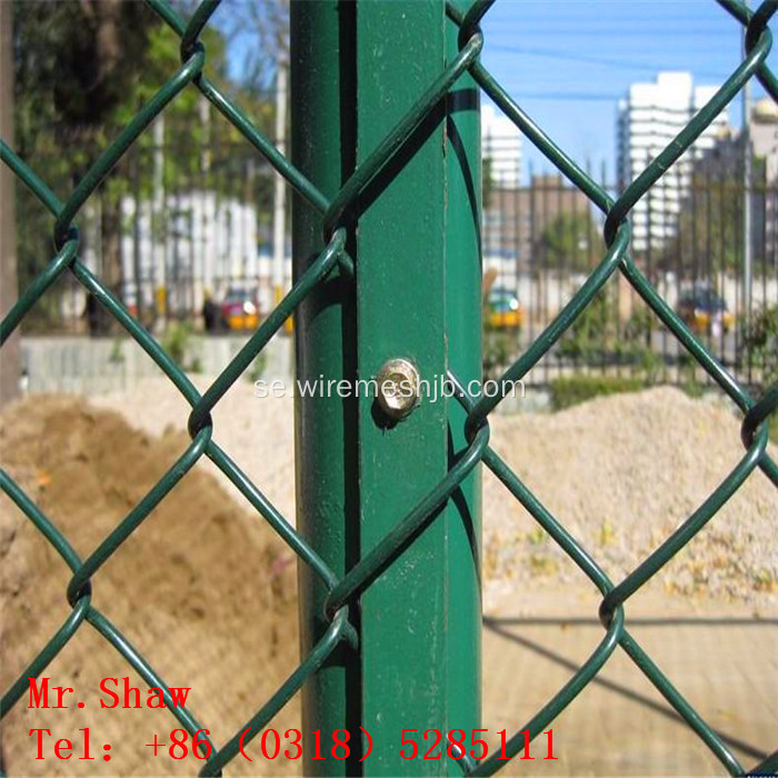 PVC Coted Chain Link Fence 50MMX50MM