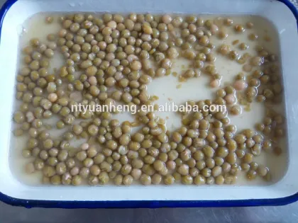 frozen peeled broad beans food specification canned green bean