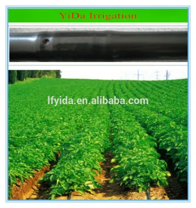 Water saving pipe roll irrigation
