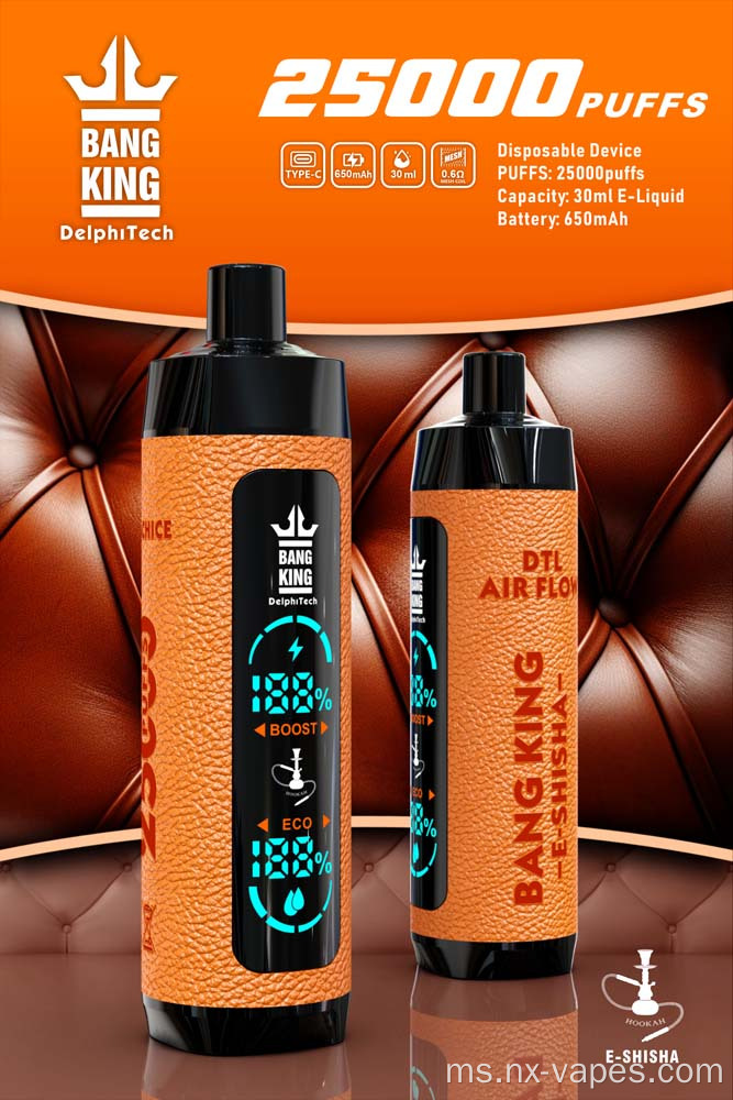 Bang King Shisha 25000 Puffs Vape Gigi