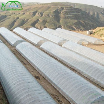 MYXL Low Cost Commercial Plastic Film Tunnel Greenhouses for Strawberries