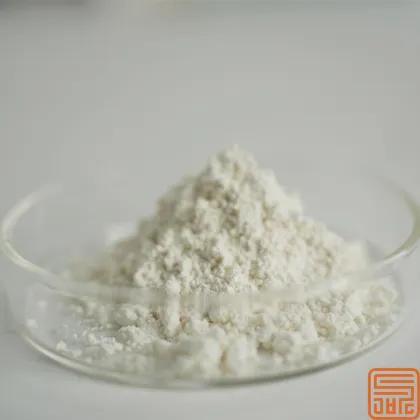 Natural Sophora Japonica Extract Genistein 98%