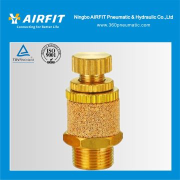 Besl Type Pneumatic Muffler with Low Price