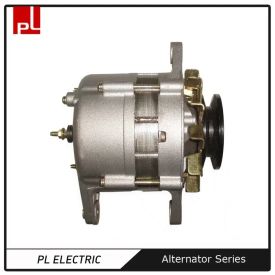 ZJPL 24V 25A rebuilt car alternator 230v 1kw