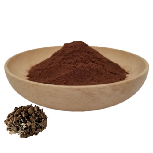 Organic grifola frondosa extract maitake extract powder