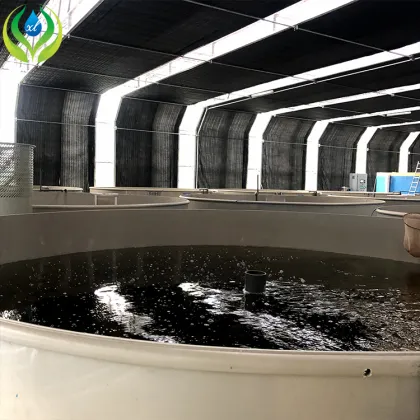 MYXL Aquaponics Greenhouse Fisheries: Fish Farming Equipment and Aquaculture Systems
