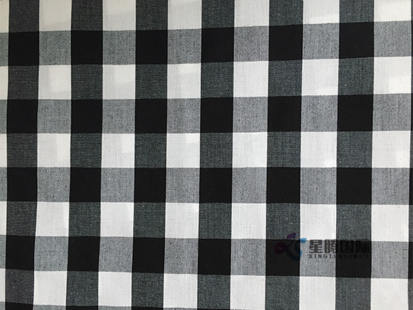 Checked Textile For Clothe