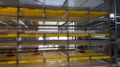 new design chicken layer cage for chicken