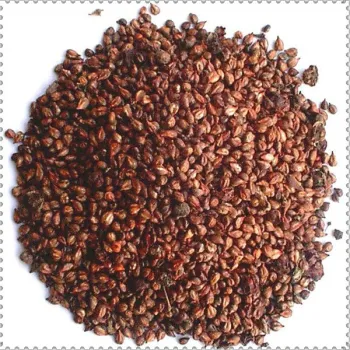 100%organic grapeseed Oil