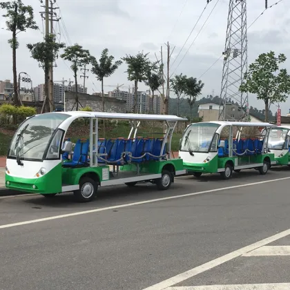 Electric Sightseeing Bus and Limousine Vehicles for Sale