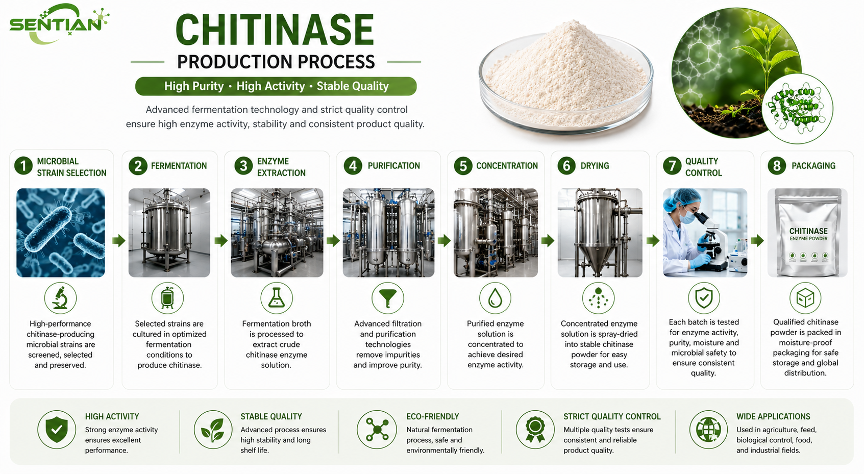 Chitinase1