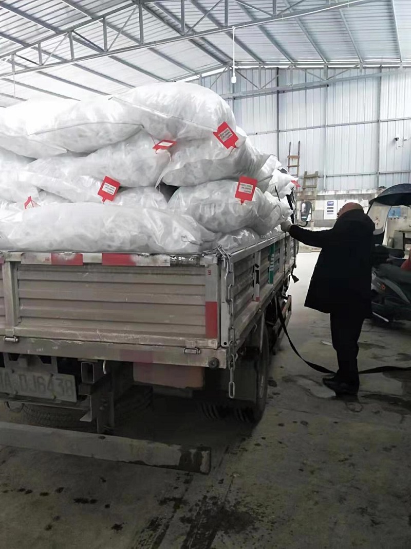 Liyu Precision Technology Successfully Completes Nail Gun Nail Preparation and Transfer, Soon to be Shipped to Customer in Kazakhstan