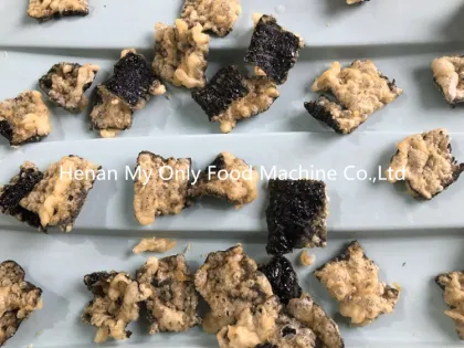 High-Quality Oil Fryer Machine for Seaweed/Nori Sheets Processing