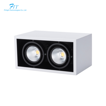 Wholesale Aluminum Surface Mounted Spotlight LED Lamp 20W/30W for Indoor Living Room