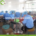 Factory Supply Dried Malaysia Goji Berries