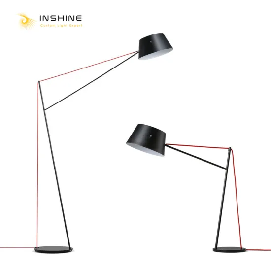 INSHINE Modern Unique Floor Lamps