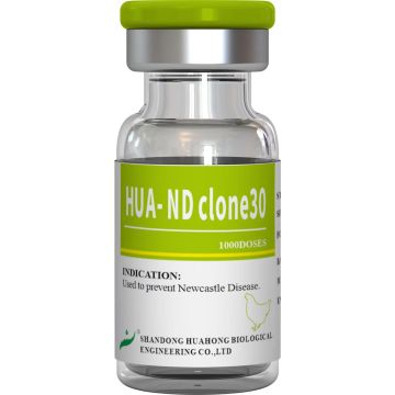 Vaccin liofilizat împotriva bolii Newcastle, viu (tulpina clonă30)