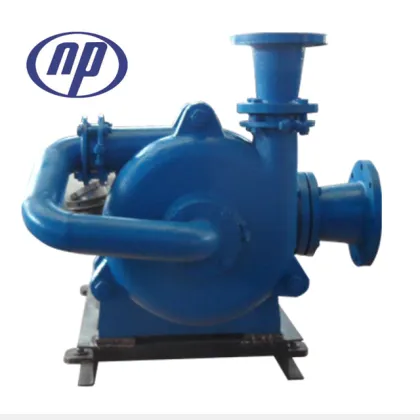 Electric filter press feed pump
