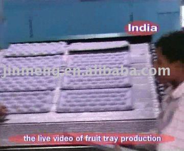 paper fruit tray production plant