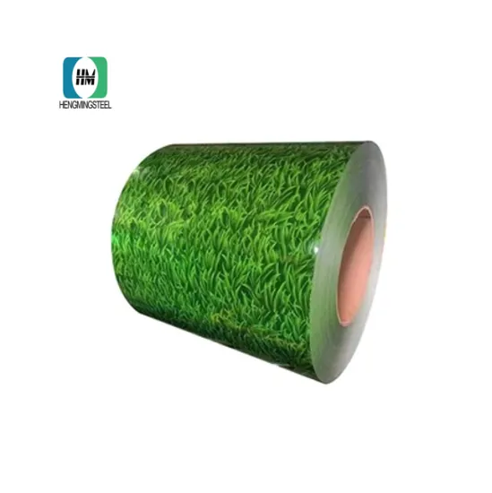 High Strength Color Coated Galvanzied Printed Steel Coil
