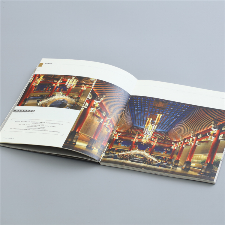 Tri Fold Booklet Leaflet Hologram Brochure Printing Service