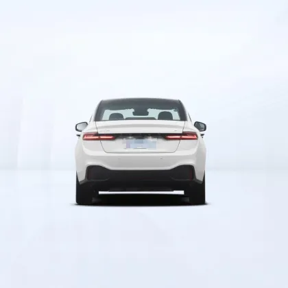 New Energy High Speed Electric SUV for Adults