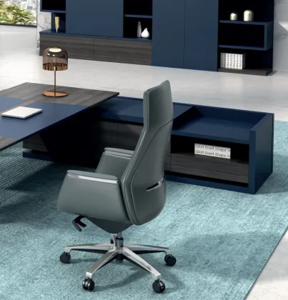 Business Sedentary Boss Office Ergonomic Office Chair