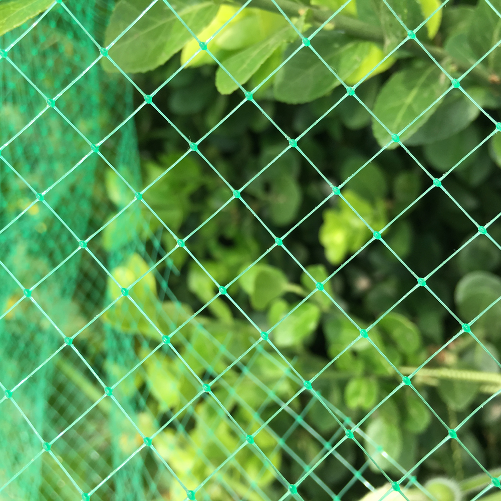 Plastic Square Mesh Anti Bird Netting