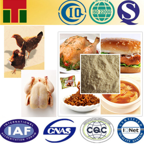 Chicken Powder Seasoning Halal Chicken Powder