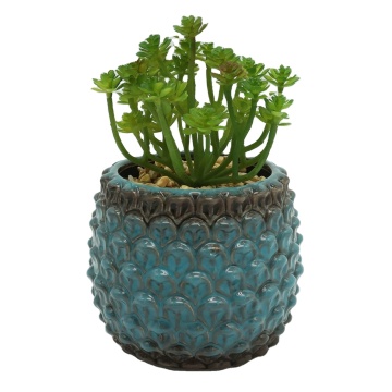 Cute Customizable Face Ceramic Flower Pots for Indoor Succulents