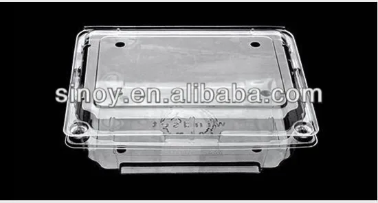 plastic strawberry hinged clamshell