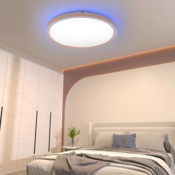 WiFi Smart LED -Lampe mit Bewegungssensor und RGB -Steuerung für Home Deckenleuchten