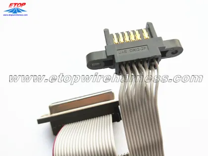 Flat cable assembly with JAE connector
