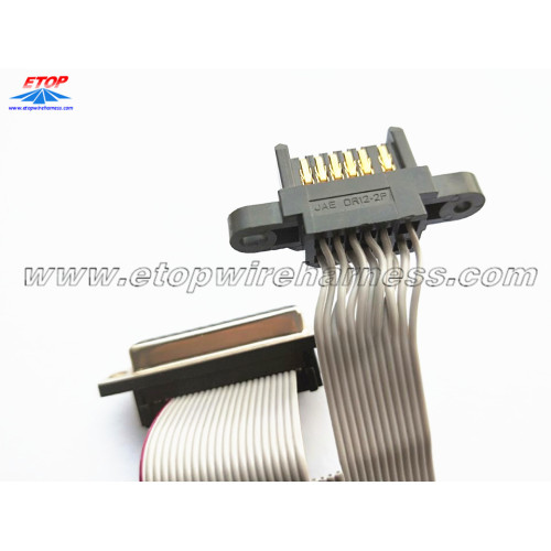 Flat cable assembly with JAE connector