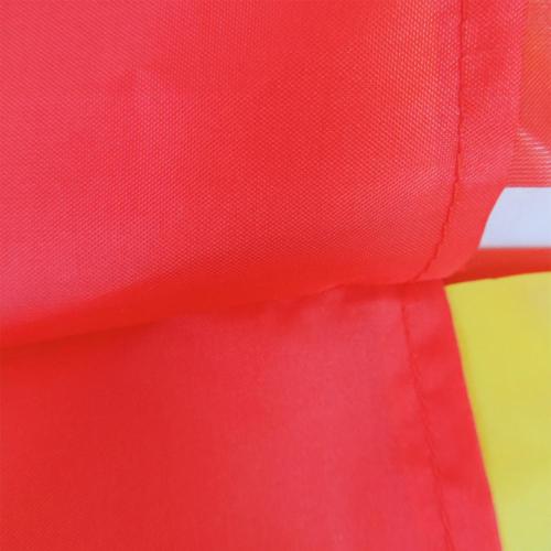 Low Price New Design Wind sock Carp Flags
