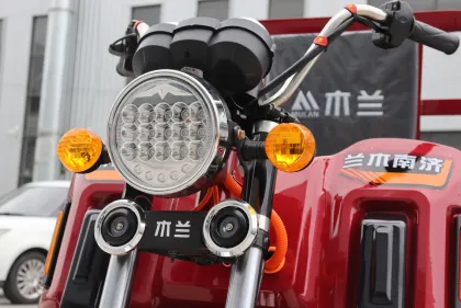 Electric Tricycle With 60v Big Power