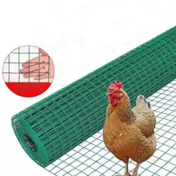 Factory PVC Coated Welded Wire Mesh for Stock Protection