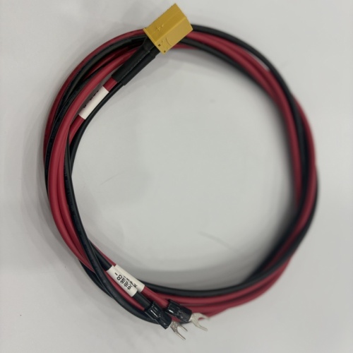 OEM/ODM Power Exchange Cabinet Wiring Harness Set