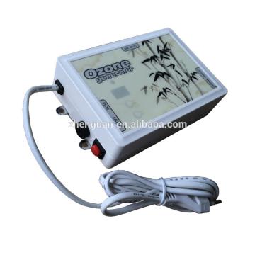 Mini portable ozone generator for cleaning vegetables FM-300S