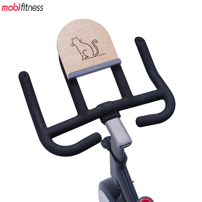 Mobifitness Spinning Bike